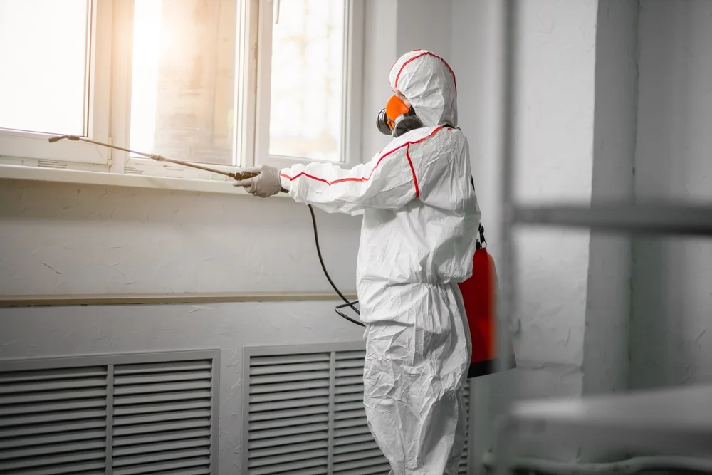 Professional mold remediation services in Semmes, AL